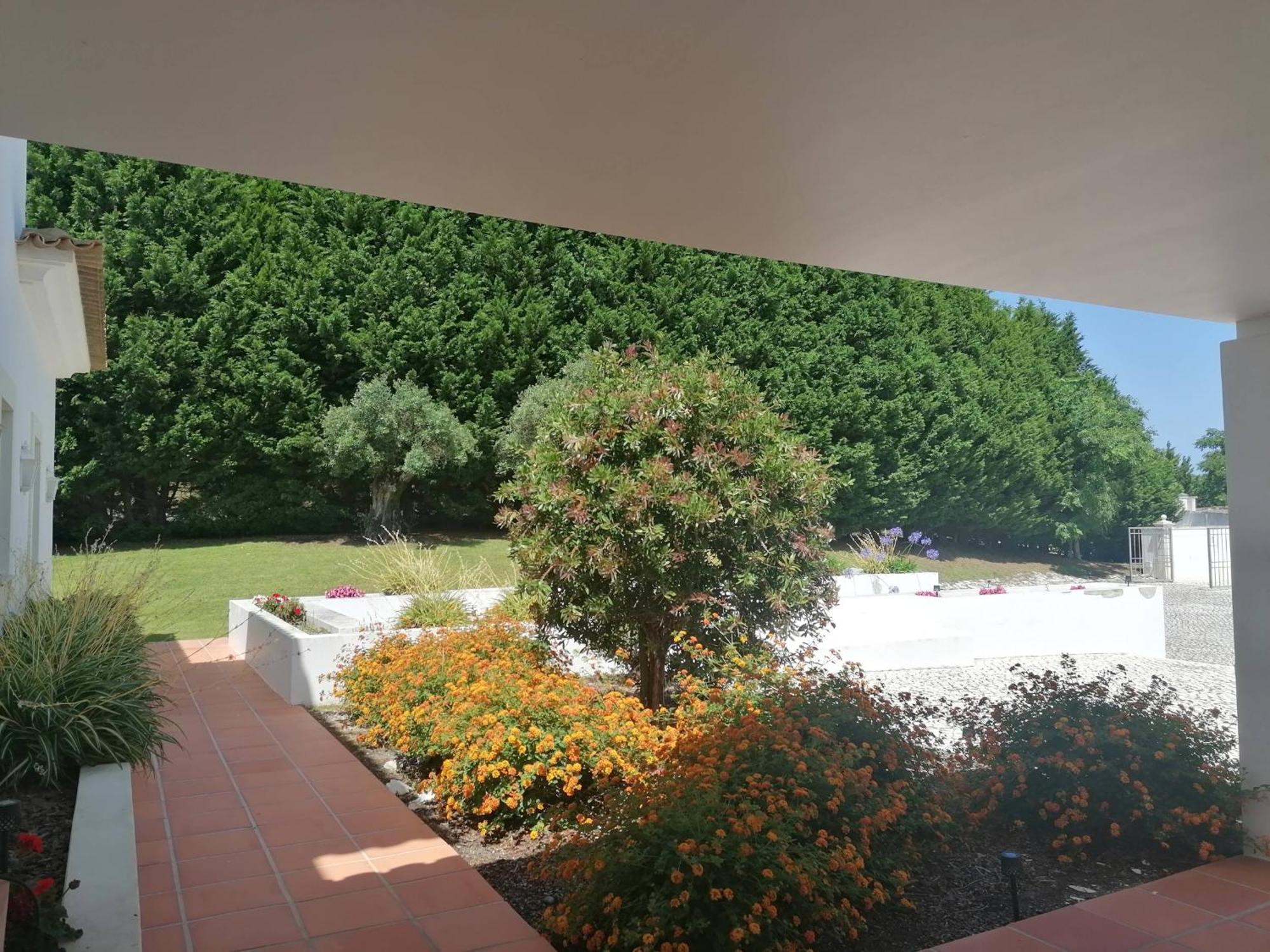 Villa Martin Όμπιδος Εξωτερικό φωτογραφία